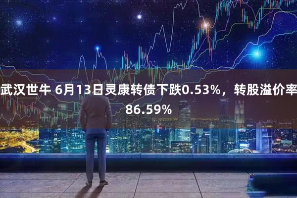 武汉世牛 6月13日灵康转债下跌0.53%，转股溢价率86.59%