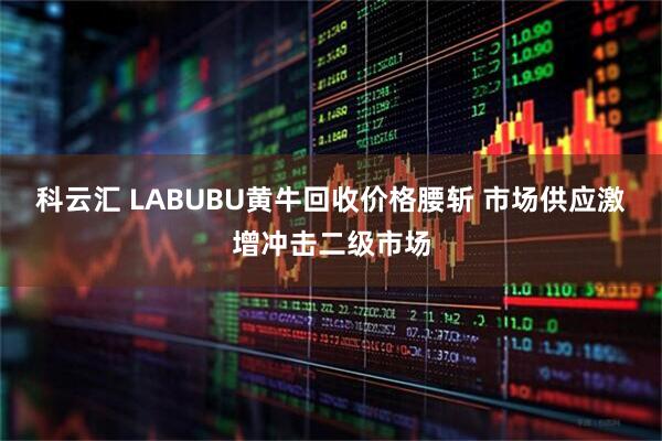 科云汇 LABUBU黄牛回收价格腰斩 市场供应激增冲击二级市场