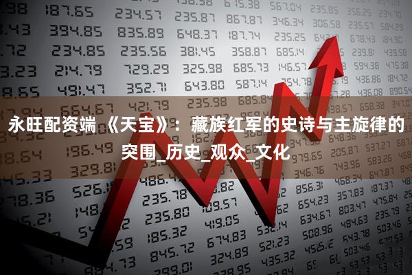 永旺配资端 《天宝》：藏族红军的史诗与主旋律的突围_历史_观众_文化