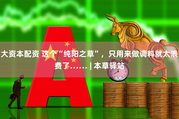 大资本配资 这个“纯阳之草”，只用来做调料就太浪费了…… | 本草驿站